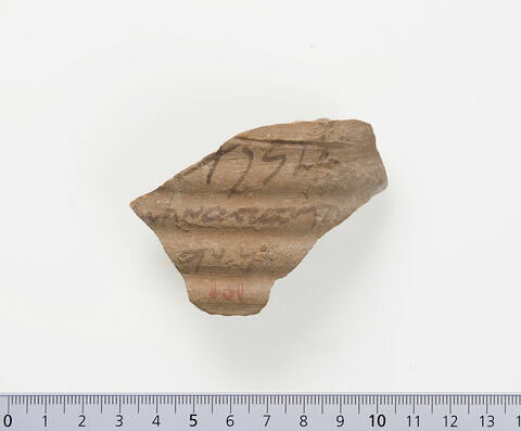 ostracon ; fragment, image 1/4