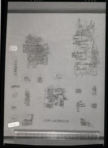papyrus littéraire ; fragments