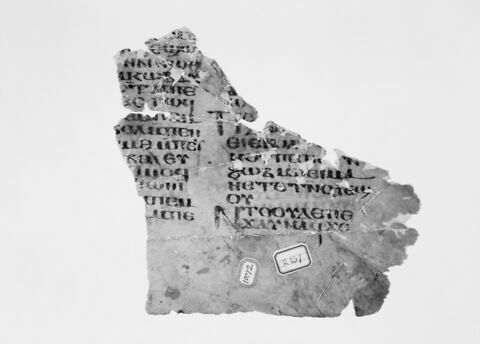 feuillet de codex ; fragment, image 6/6