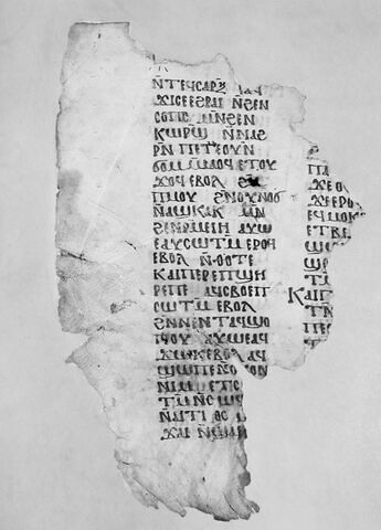 feuillet de codex ; fragment, image 3/4