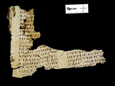 feuillet de codex ; fragment, image 7/8