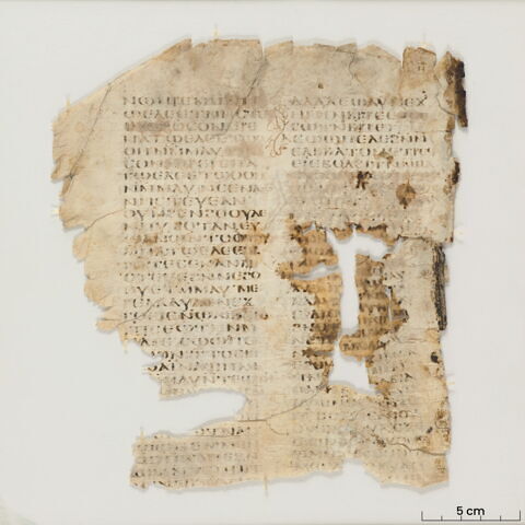 feuillet de codex ; fragment, image 2/6