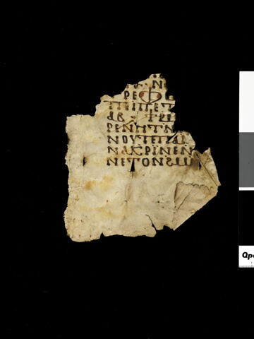 feuillet de codex ; fragment, image 11/14