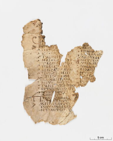 feuillet de codex ; fragment, image 2/14