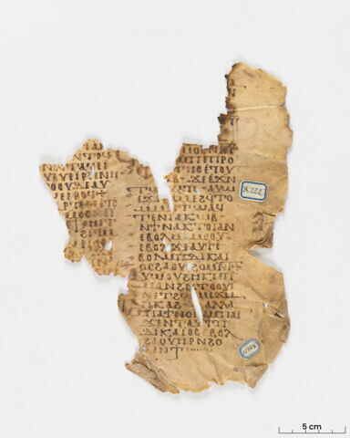 feuillet de codex ; fragment, image 3/14