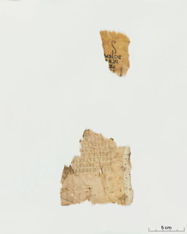 feuillet de codex ; fragment, image 4/14