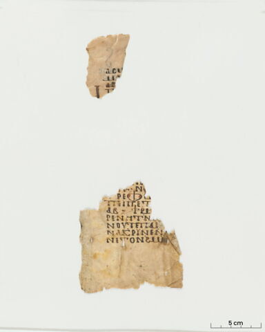 feuillet de codex ; fragment, image 5/14