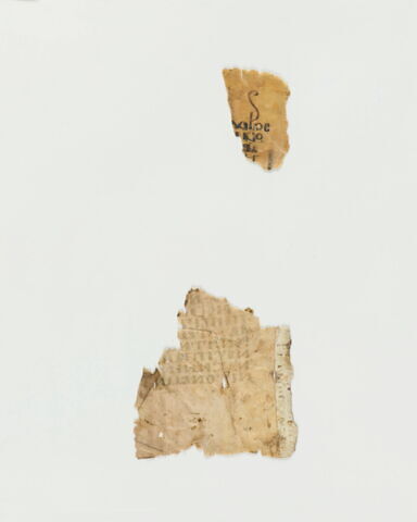 feuillet de codex ; fragment, image 7/14