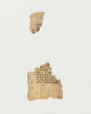 feuillet de codex ; fragment, image 8/14