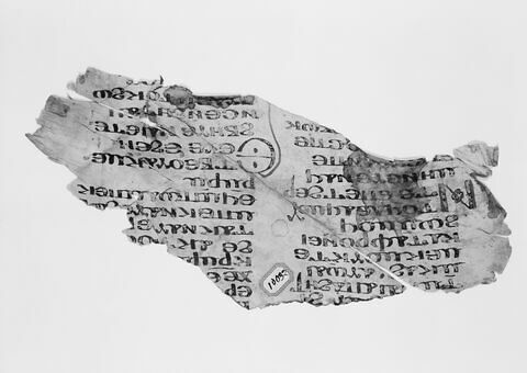 feuillet de codex ; fragment, image 7/7