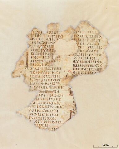 feuillet de codex ; fragment, image 3/8