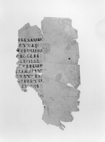 feuillet de codex ; fragment, image 5/5