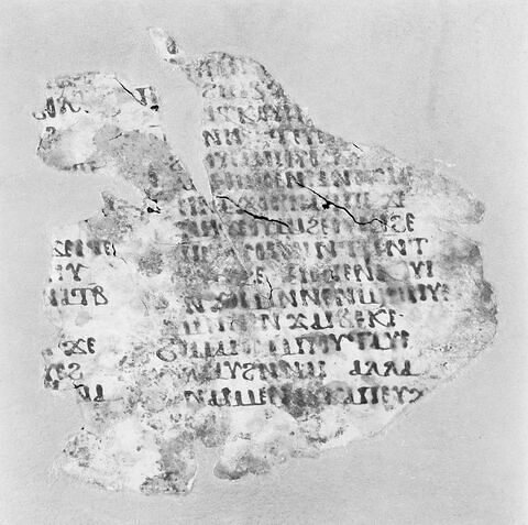 feuillet de codex ; fragment, image 5/5