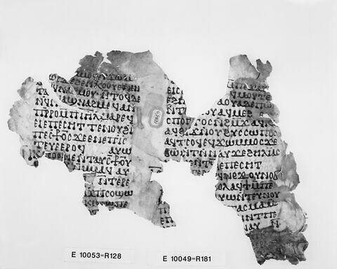 feuillet de codex ; fragment, image 5/7