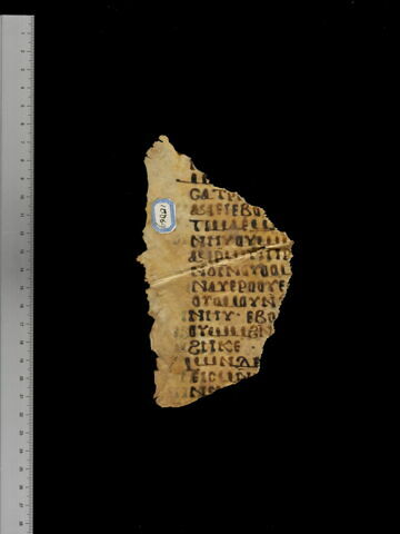 feuillet de codex ; fragment, image 1/5