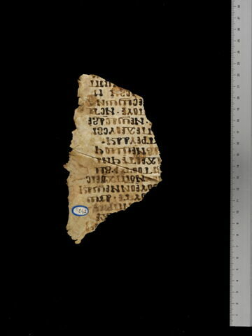 feuillet de codex ; fragment, image 2/5