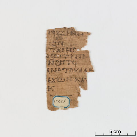 papyrus littéraire, image 2/5