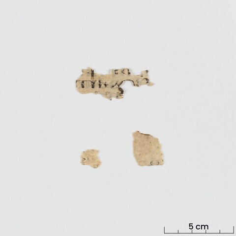 feuillet de codex ; fragments, image 2/6