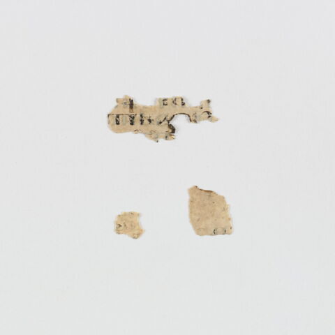 feuillet de codex ; fragments, image 4/6