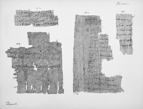 papyrus documentaire ; fragment