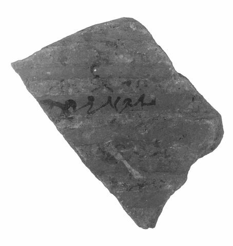 ostracon ; fragment, image 1/1
