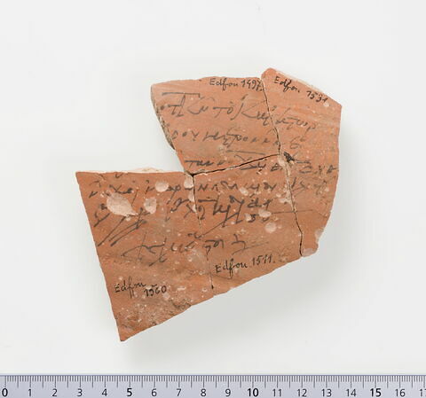 ostracon ; plusieurs fragments recollés, image 1/2