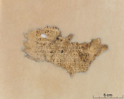 feuillet de codex ; deux fragments recollés, image 2/7