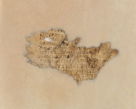feuillet de codex ; deux fragments recollés, image 4/7
