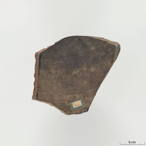 ostracon, image 2/5
