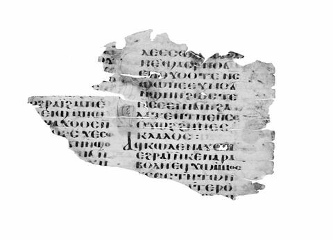feuillet de codex ; fragment, image 4/4