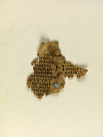 parchemin, image 1/4