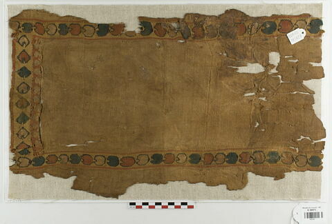 tunique ; clavus ; fragment, image 2/4