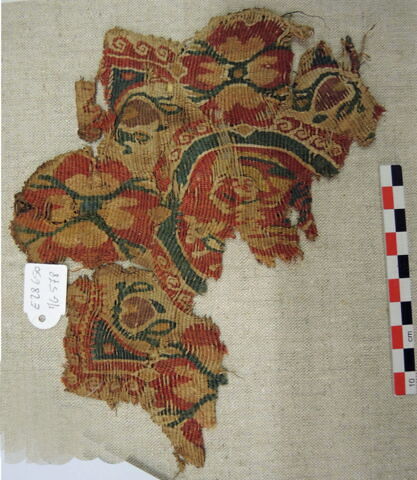 orbiculus ; fragment, image 2/2