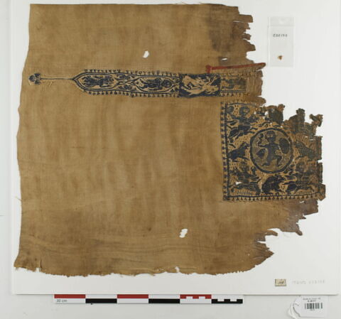 clavus ; tabula, image 1/1