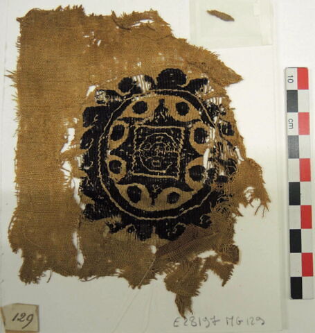 orbiculus, image 2/2