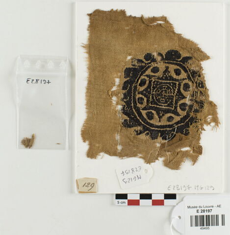 orbiculus, image 1/2