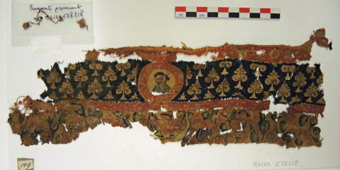 bande d'encolure ; fragment, image 2/2
