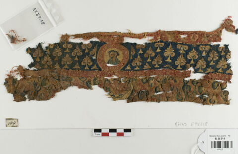 bande d'encolure ; fragment, image 1/2