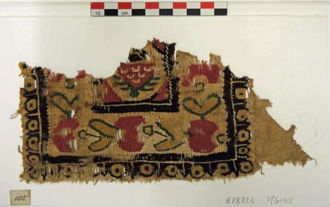 tabula ; fragment, image 3/3