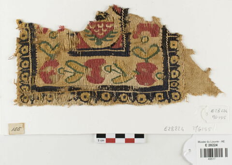 tabula ; fragment, image 1/3