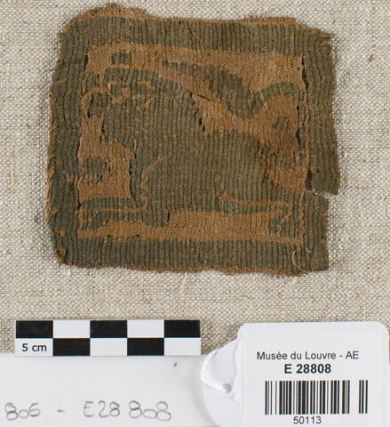 tabula ; fragment, image 1/1