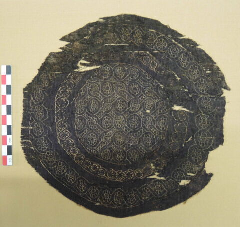 orbiculus, image 2/2