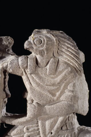 Horus cavalier, image 13/13