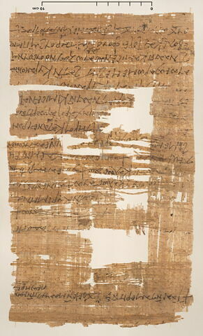 papyrus documentaire, image 2/6