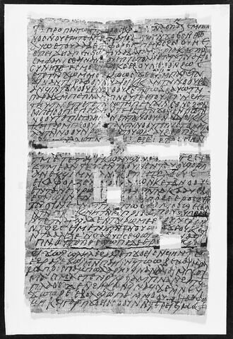 papyrus documentaire, image 7/7