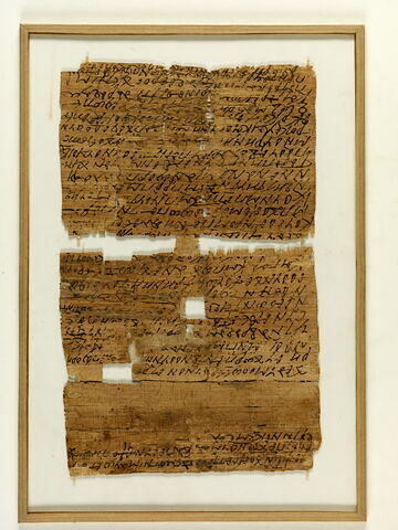 papyrus documentaire, image 4/7
