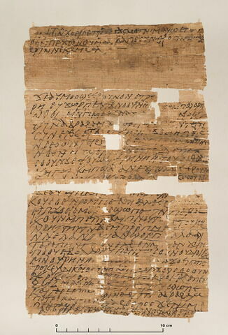 papyrus documentaire, image 2/7