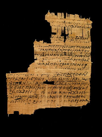 papyrus documentaire, image 4/4