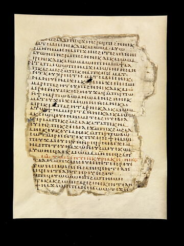 Codex NP du monastère Blanc, image 2/4