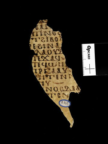 feuillet de codex ; fragment, image 2/2